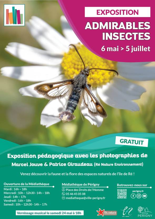 Admirables insectes et la petite chorale de Musicadanse